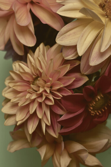 摄影 标题为“Flowerissimo_10164” 由Michael Vdovin, 原创艺术品, 数码摄影