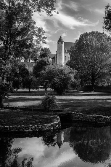 Photographie intitulée "Parc du château" par Lionel Jean-Marie, Œuvre d'art originale, Photographie non manipulée