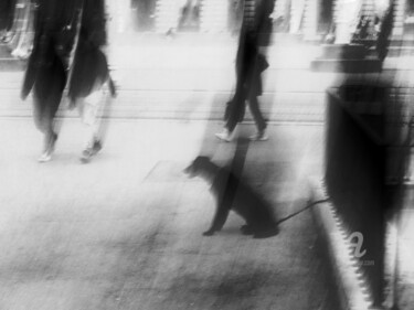 Photography titled "It is what it is" by Alen Gurovic, Original Artwork, Digital Photography