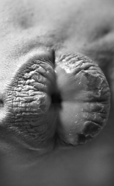 "Le puit" başlıklı Fotoğraf Zeineb Henchiri tarafından, Orijinal sanat, Fotoşopsuz fotoğraf