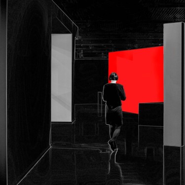 Schilderij getiteld "Lady in Black" door Piet Prins, Origineel Kunstwerk, Digitale fotografie