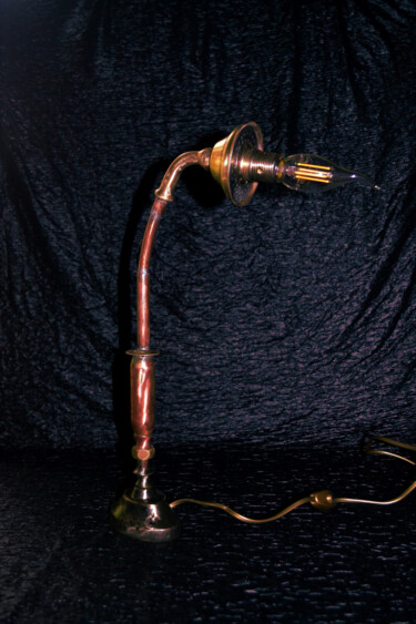 雕塑 标题为“Sculpture lampe pom…” 由Sophie Et Lionel Pardessus, 原创艺术品, 金属