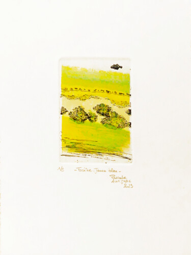 Gravures & estampes intitulée "Facétie. Jaune bleu" par Pascale Aurignac, Œuvre d'art originale, Gravure