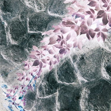 摄影 标题为“CCXXX” 由Zheka Khalétsky, 原创艺术品, 非操纵摄影