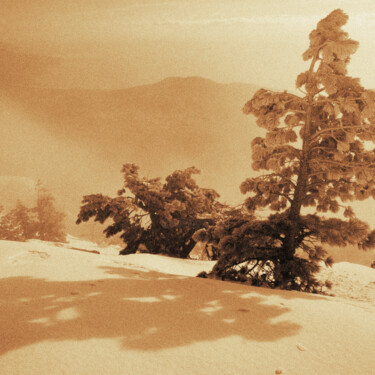 Photography titled "Snowy weather in th…" by Andriy Solovyov, Original Artwork, Digital Photography