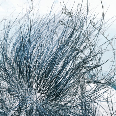摄影 标题为“CCXLVII” 由Zheka Khalétsky, 原创艺术品, 非操纵摄影