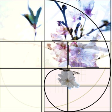 le Carrée Photographie intitulée "le Carrée" par Nana Plamadeala-Kiritchenko, Œuvre d'art originale, Collage numérique Monté sur Alumi…