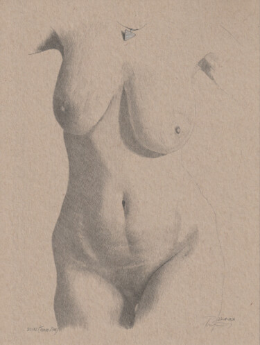 "Torso2710 (23:02)" 图画 标题为“"Torso2710 (23:02)"” 由Walter Roos, 原创艺术品, 铅笔