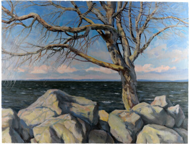 Schilderij getiteld "Море.Дерево на камн…" door Vitalij Valsamaki, Origineel Kunstwerk, Olie Gemonteerd op Frame voor houten…