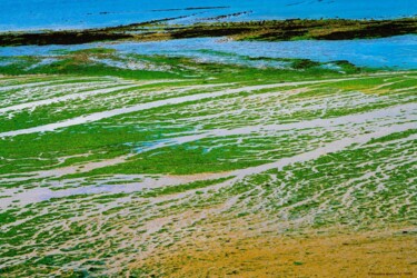 Fotografia intitolato "Plage en vert 01-20…" da Rosalina Vaz, Opera d'arte originale, Fotografia digitale
