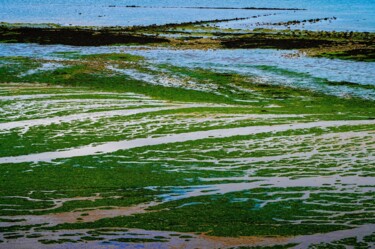 Fotografia intitolato "Plage en vert 02-20…" da Rosalina Vaz, Opera d'arte originale, Fotografia digitale