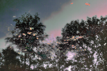 Arts numériques intitulée "Vent d'automne 2" par Michel Guillaumeau, Œuvre d'art originale, Peinture numérique