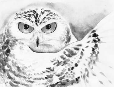 绘画 标题为“Barn owl” 由Yulia Belasla, 原创艺术品, 水彩