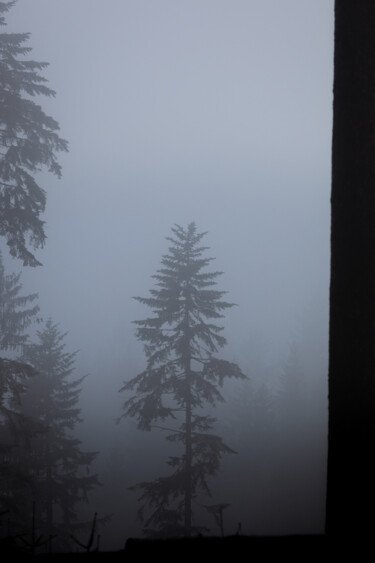 Photography titled "Symphonie Brumeuse" by Florent Baudy, Original Artwork, Digital Photography