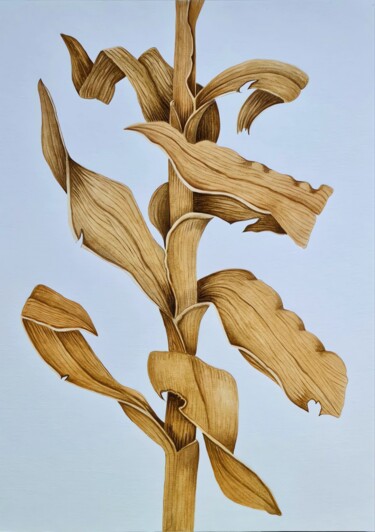 绘画 标题为“Dry reed” 由Olga Poruchikova, 原创艺术品, 丙烯