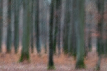 Photography titled "Couleurs d'automne…" by Thierry Martin, Original Artwork, Digital Photography