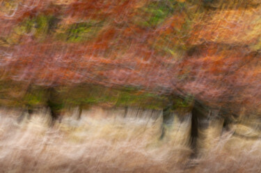 Фотография под названием "Couleurs d'automne,…" - Thierry Martin, Подлинное произведение искусства, Цифровая фотография