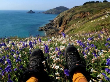 Photographie intitulée "Amongst the flowers…" par Marcio Sampaio, Œuvre d'art originale, Photographie numérique