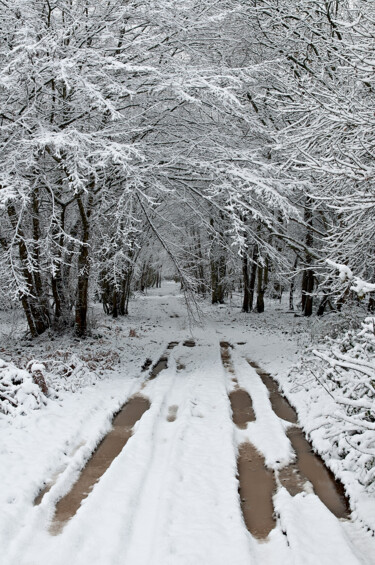 Photography titled "Couleurs d'hiver 4." by Thierry Martin, Original Artwork, Digital Photography