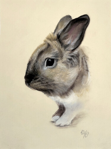 Portrait of a cute rabbit Dessin intitulée "Portrait of a cute…" par Shilo Julia, Œuvre d'art originale, Pastel