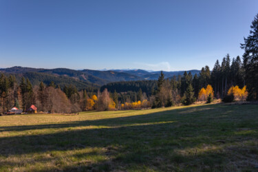 Automne: Symphonie de couleurs. Photographie intitulée "Automne: Symphonie…" par Florent Baudy, Œuvre d'art originale, Photographie numérique
