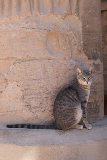 Fotografie mit dem Titel "cat goddess" von Gilliard Bressan, Original-Kunstwerk, Digitale Fotografie