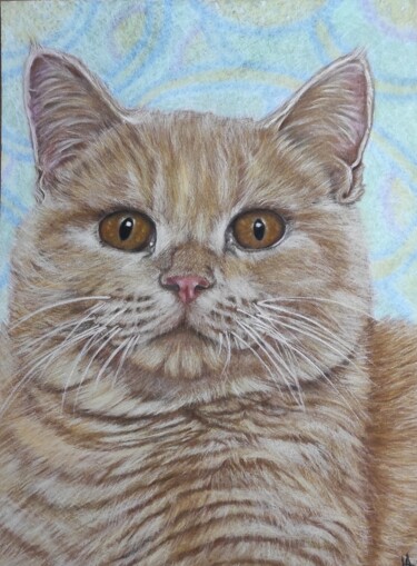 Desenho intitulada "Le chat" por Véronique Abram (VAB), Obras de arte originais, Pastel Montado em Cartão