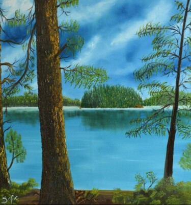 Pintura intitulada "Dimond  of Adironda…" por Mevlida Sofic, Obras de arte originais, Óleo