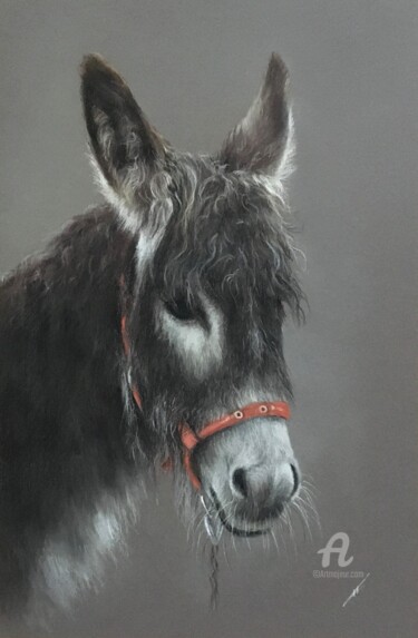 Dessin intitulée "Burrito" par Irene_art, Œuvre d'art originale, Pastel