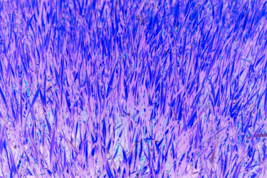 Fotografia intitolato "LI, 2021" da Alessio Lucarini, Opera d'arte originale, Fotografia digitale Montato su Alluminio