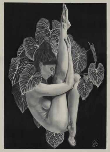 Рисунок под названием "Natures embrace" - Michael K Davis, Подлинное произведение искусства, Древесный уголь