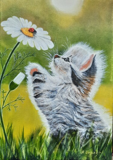 Ζωγραφική με τίτλο "Kitten and chamomile" από Olena Berest, Αυθεντικά έργα τέχνης, Λάδι Τοποθετήθηκε στο Ξύλινο φορείο σκελε…