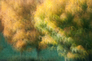 "Couleurs d'automne…" başlıklı Fotoğraf Thierry Martin tarafından, Orijinal sanat, Dijital Fotoğrafçılık