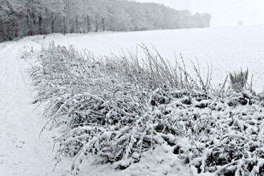 Photography titled "Couleurs d'hiver 5." by Thierry Martin, Original Artwork, Digital Photography