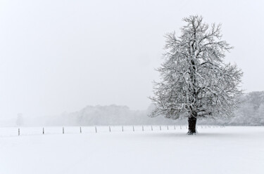 Photography titled "Couleurs d'hiver 8." by Thierry Martin, Original Artwork, Digital Photography