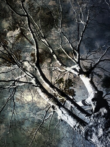 Fotografia intitolato "Tempête" da Alexandra Daoust, Opera d'arte originale, Fotografia digitale