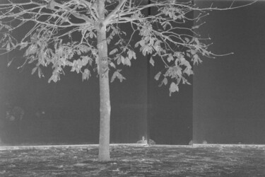 摄影 标题为“park scene (monochr…” 由Zheka Khalétsky, 原创艺术品, 非操纵摄影