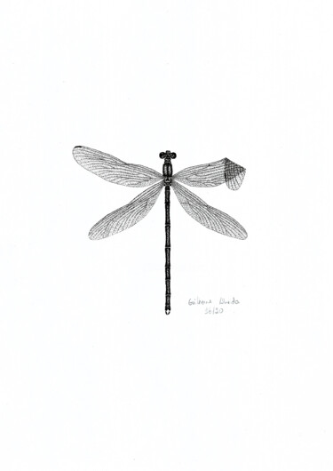 Drawing titled "INSETO Nº 16" by Guilherme Almeida, Original Artwork, Ink