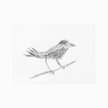 图画 标题为“The Bird” 由Irfan Ajvazi, 原创艺术品, 圆珠笔 安装在纸板上