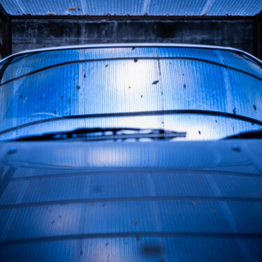 Photography titled "Blue" by Hervé Gergaud, Original Artwork, Analog photography