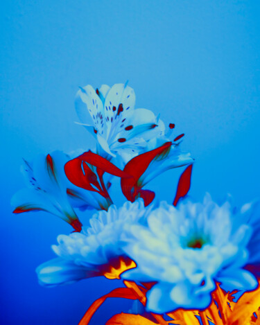 Fotografie getiteld "Bouquet Final 02" door Aurélien Bellido, Origineel Kunstwerk, Gemanipuleerde fotografie