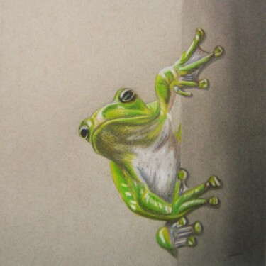 Disegno intitolato "Look who is here" da P. Le Sommer, Opera d'arte originale, Matita