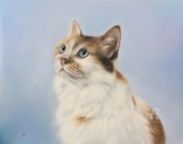 图画 标题为“Cat-dreamer” 由Irene_art, 原创艺术品, 粉彩