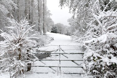 Photography titled "Couleurs d'hiver 11." by Thierry Martin, Original Artwork, Digital Photography