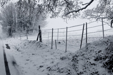 Photography titled "Couleurs d'hiver 12." by Thierry Martin, Original Artwork, Digital Photography