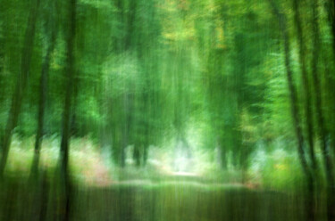 Photography titled "Couleurs d'automne…" by Thierry Martin, Original Artwork, Digital Photography