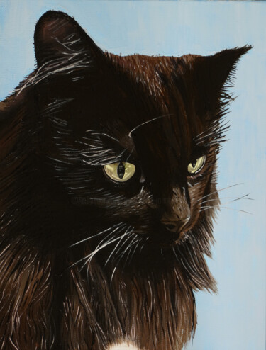 绘画 标题为“Chat pensif” 由Cyril Saint Jongers, 原创艺术品, 油