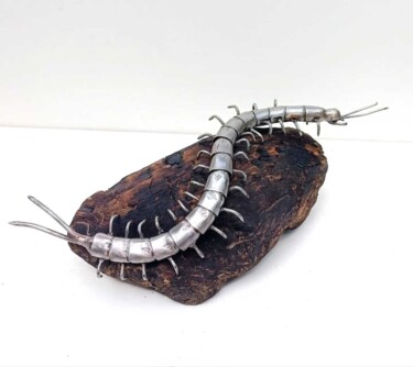 Sculpture titled "Scolopendre" by Betty Bouh, Original Artwork, Metals