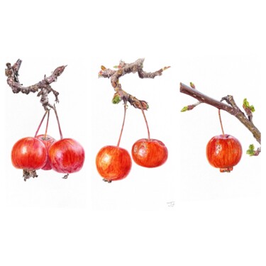 绘画 标题为“CRAB APPLES - EVOLU…” 由Inessa Falina, 原创艺术品, 水彩
