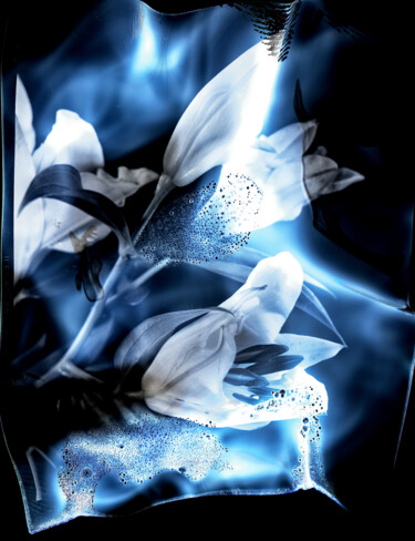 Photographie intitulée "fleur-cosmique-mami…" par Yann Pelcat, Œuvre d'art originale, Photographie argentique